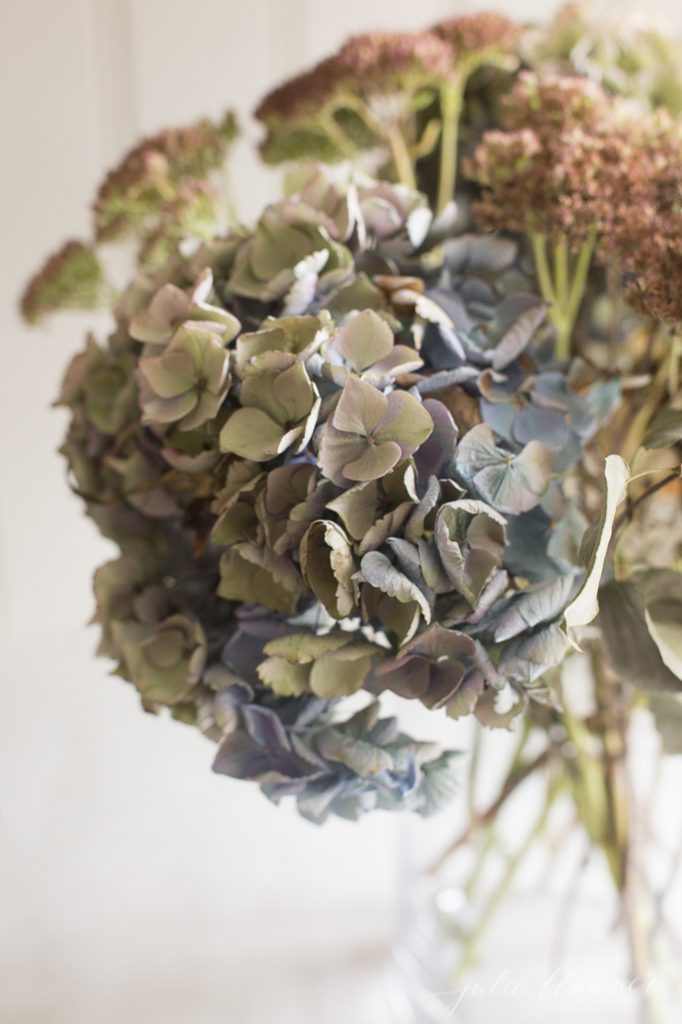 干燥的绣球花-简单的装饰想法，可以持续几年