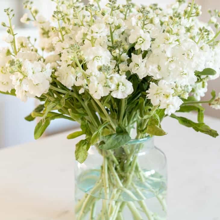 在大理石表面上的透明玻璃花瓶中的白色储备花卉排列。